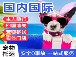 济南机场空运国际宠物托运 【国